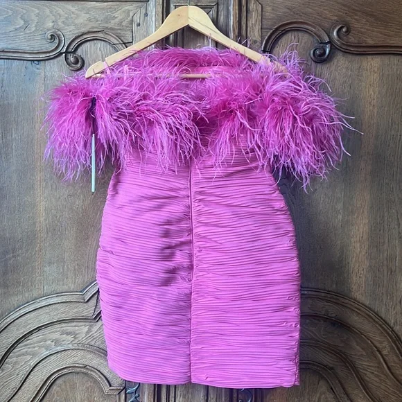 rachel gilbert pink feather dress Rent Rachel Gilbert Pink Dress US 4